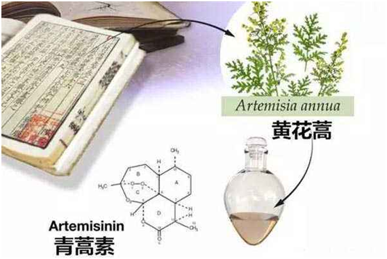 安博平台客服,安博（中国）：向中医药看齐，与世界共享中医药文化(图1)